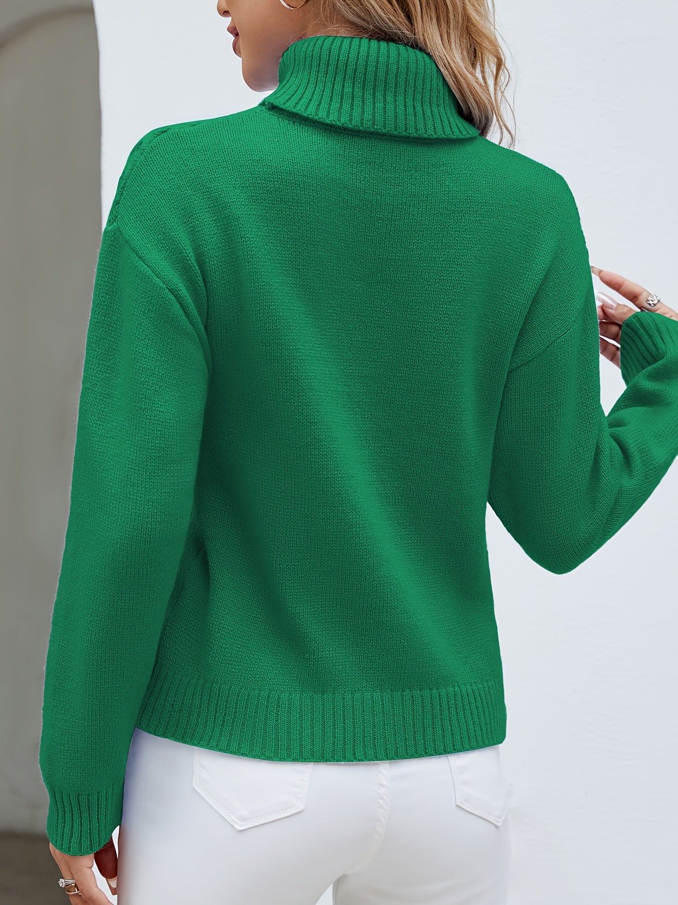 Solid Color Long Sleeve Sweater, Casual Turtle Neck Sweater For Winter & Fall